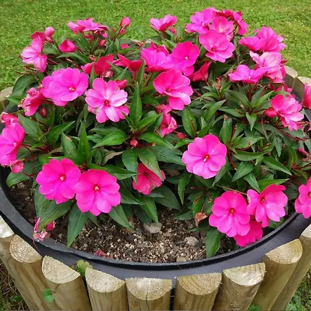 Mit Eigener Sonnenterrasse By Interhome Appartamento Slap ob Idrijci