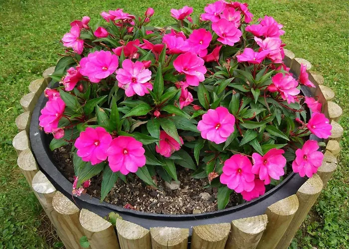 Mit Eigener Sonnenterrasse By Interhome Appartamento Slap ob Idrijci